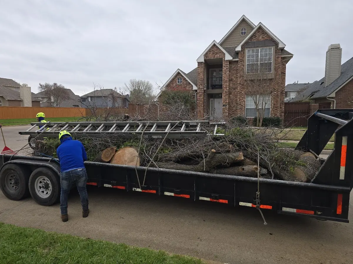 Expert Lot Clearing with proper safety equipment in Sarles